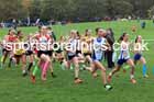 Girls Under-13s relay, 2025 Northern Cross Country Relays, Graves Park, Sheffield. Photo: David T. Hewitson/Sports for All Pics